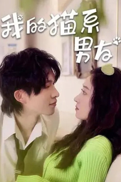 我的猫系男友 封面