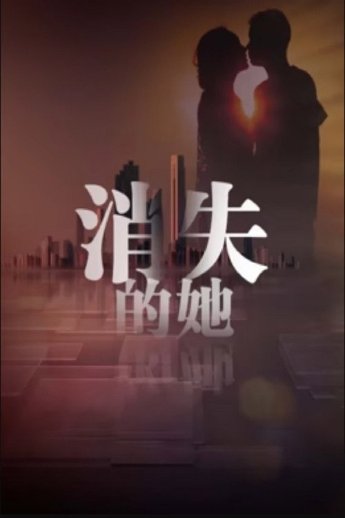 消失的她 封面