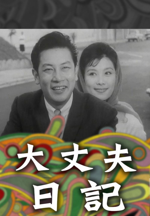 大丈夫日记 封面