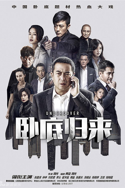 卧底归来 封面
