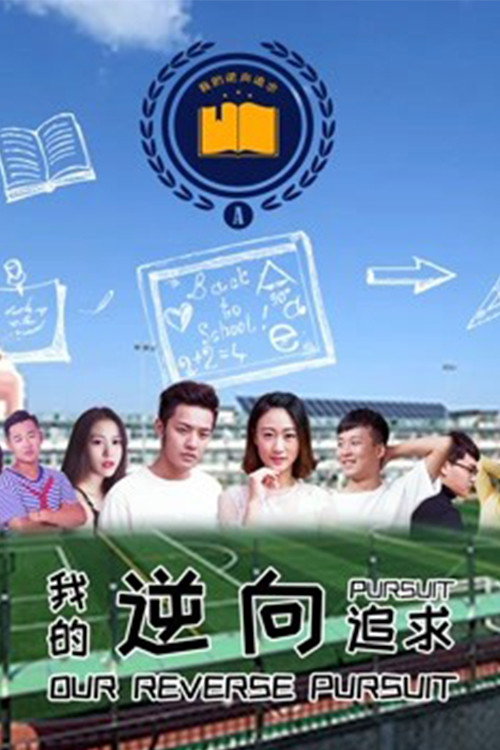 我的逆向追求 封面