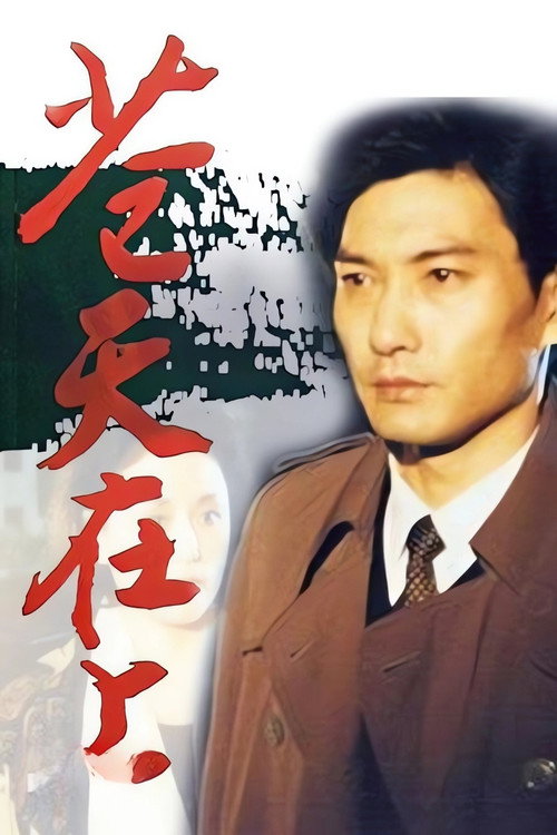 苍天在上 封面