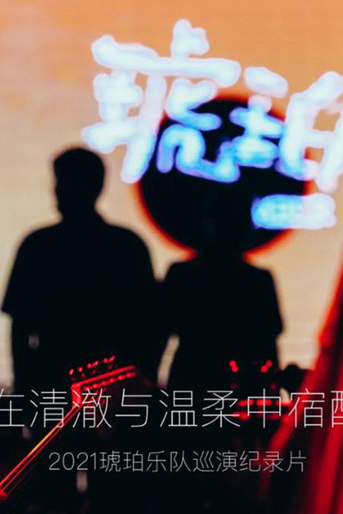 琥珀，在清澈与温柔中宿醉 封面