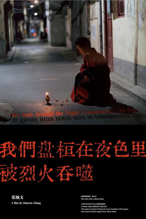 我们盘桓在夜色里，被烈火吞噬 封面
