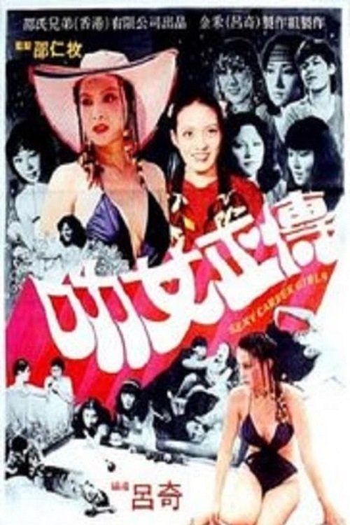 叻女正传 封面