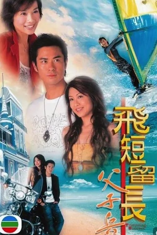 飞短留长父子兵 封面