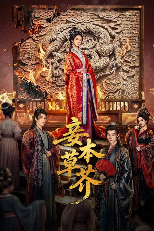 妾本草芥 封面