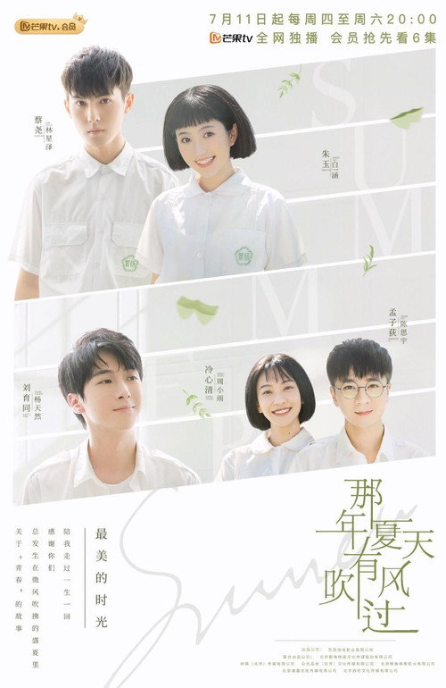 那年夏天有风吹过 封面