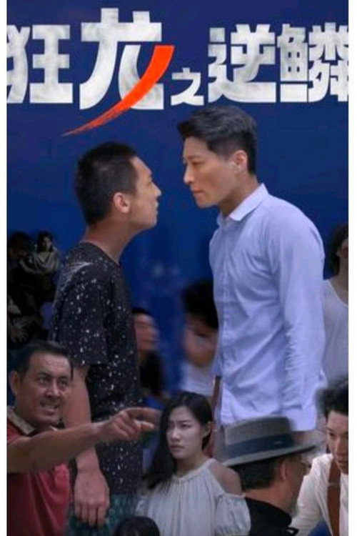 狂龙之逆鳞 封面