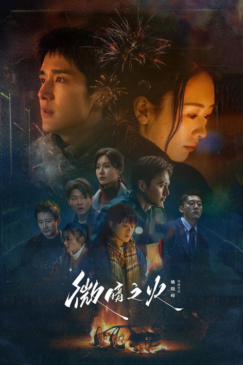 微暗之火 封面