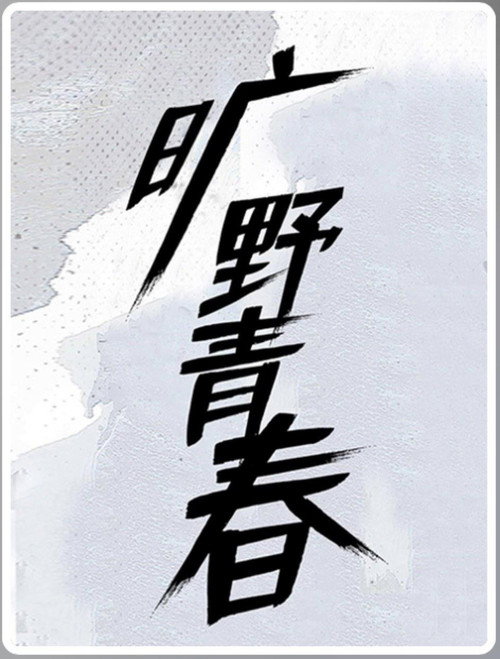 旷野青春 封面