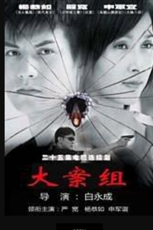 大案组 封面
