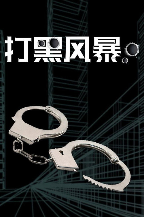 打黑风暴 封面