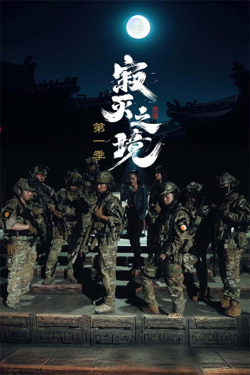 寂灭之境 封面
