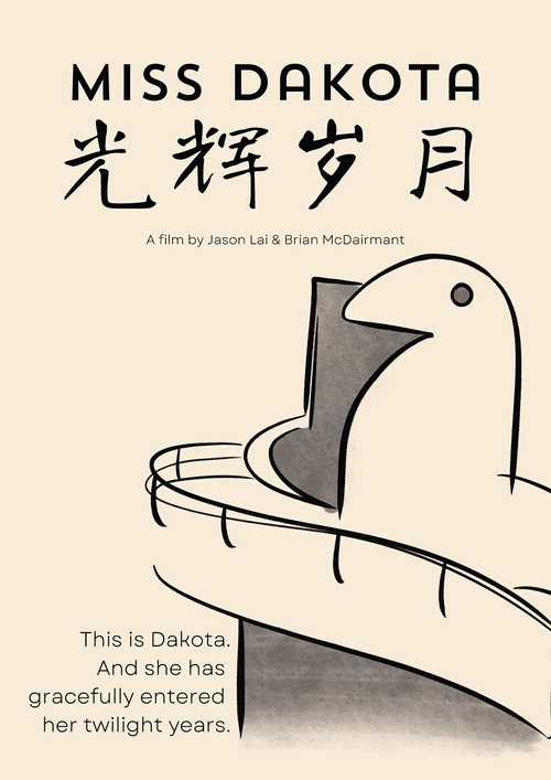 光辉岁月 封面