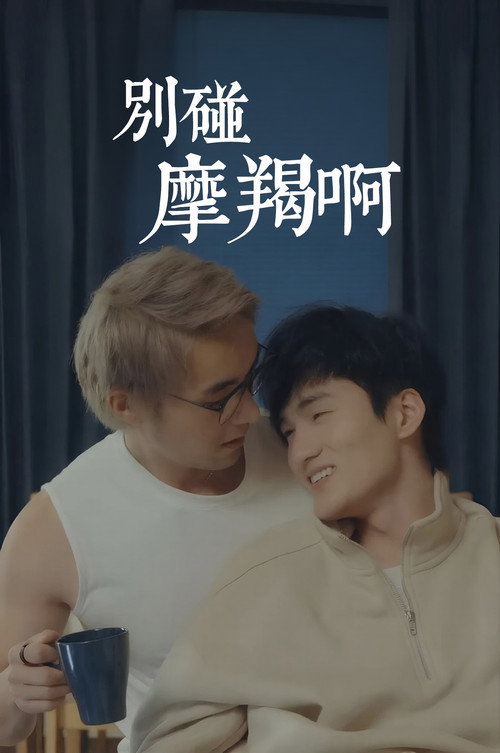 别碰摩羯啊! 封面