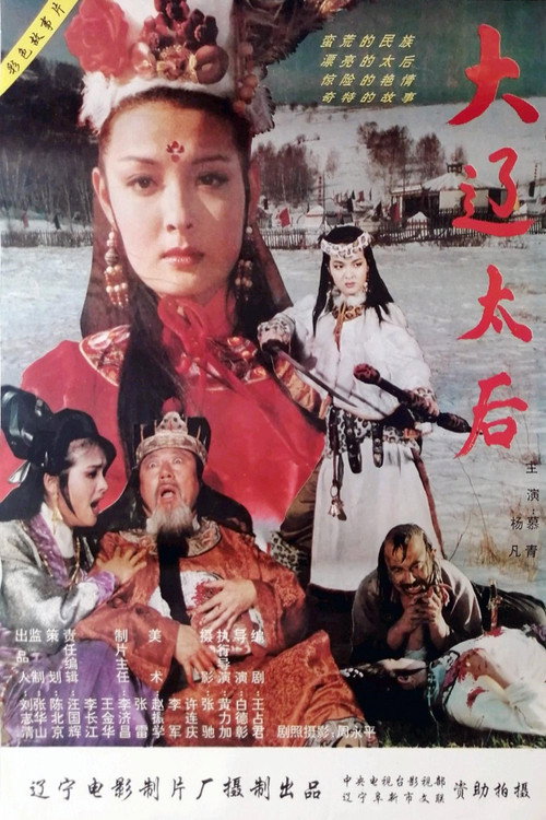 大辽太后 封面