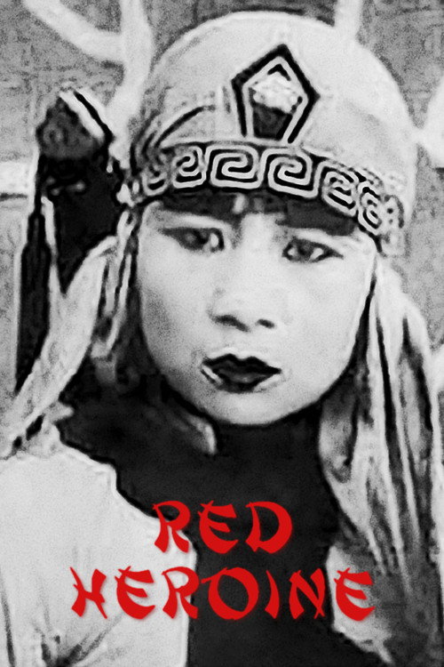 红侠 封面