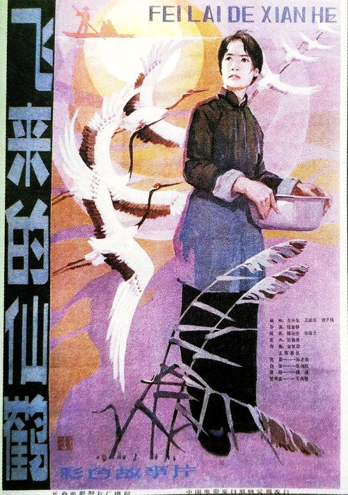 飞来的仙鹤 封面