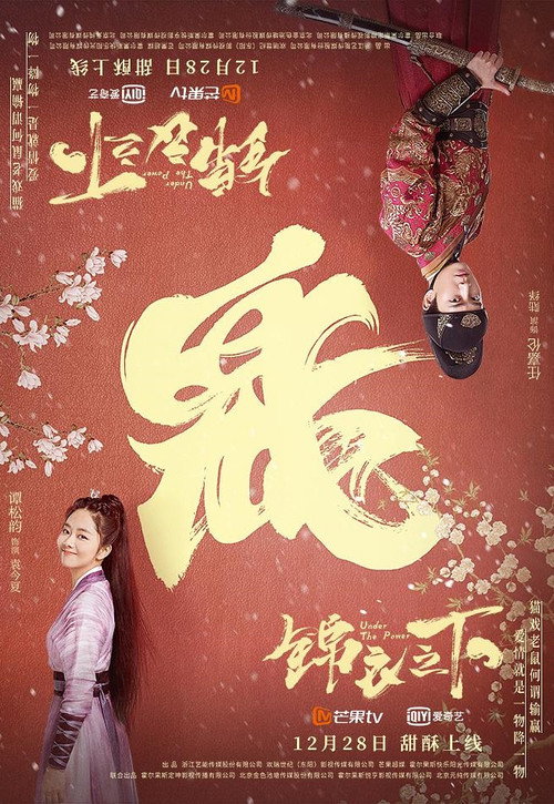 锦衣之下 封面