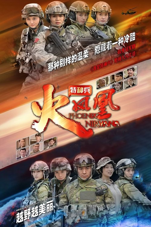 特种兵之火凤凰 封面