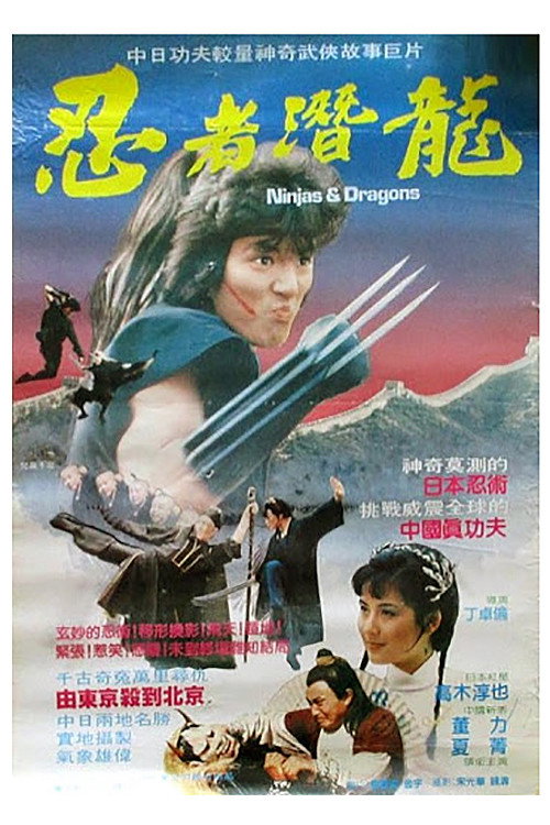 忍者潛龍 封面