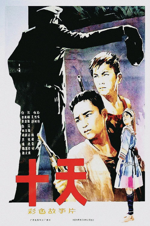 十天 封面
