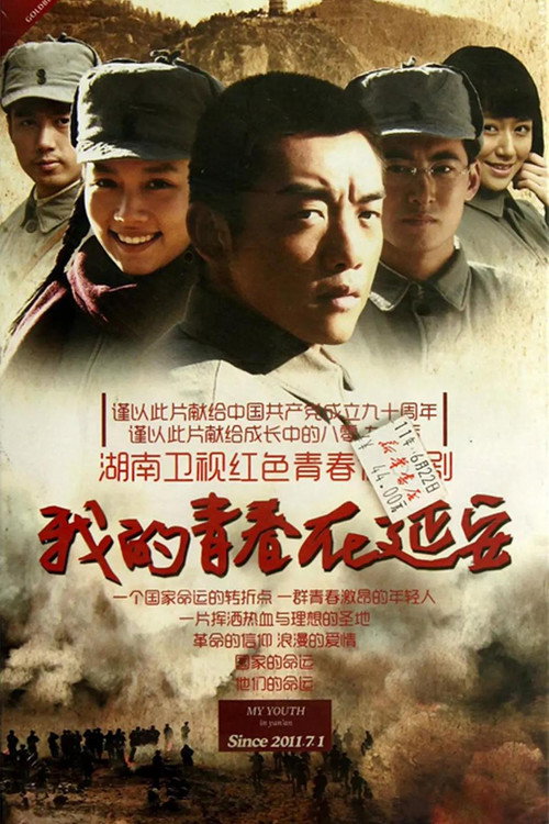 我的青春在延安 封面