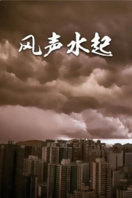 风生水起 封面