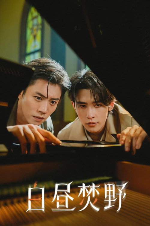白昼焚野 封面