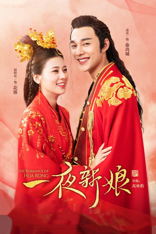 一夜新娘 封面