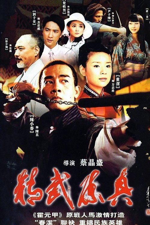 精武陈真 封面