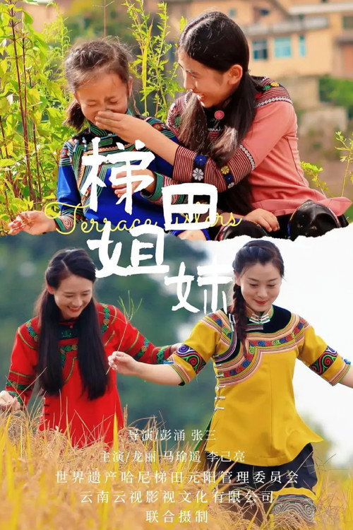 梯田姐妹 封面