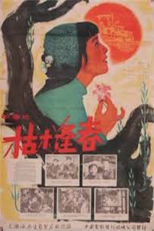 枯木逢春 封面