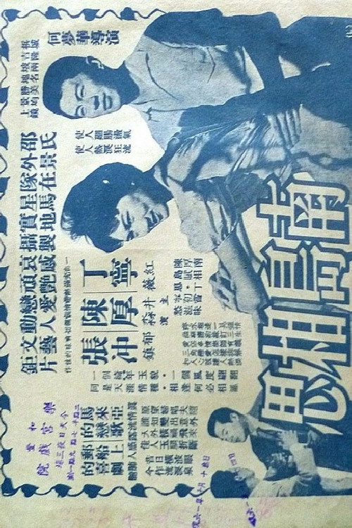 南島相思 封面