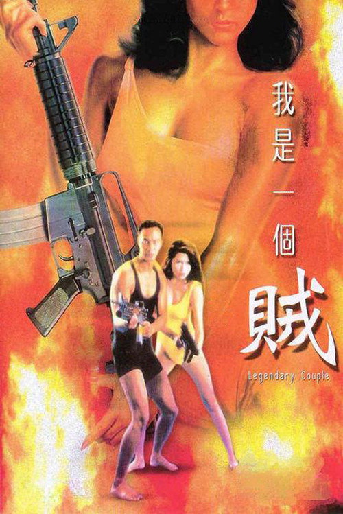 我是一个贼 封面