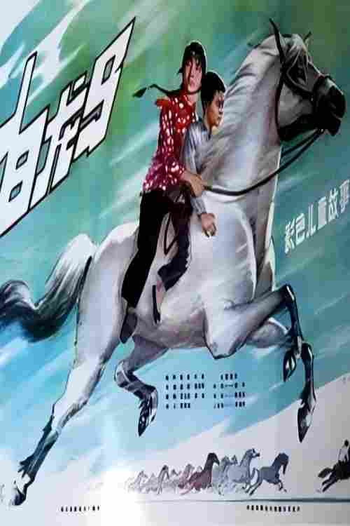 白龙马 封面