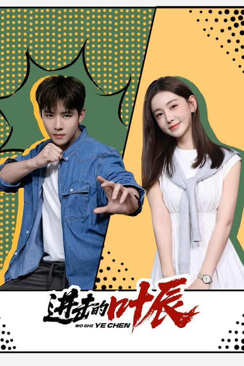 进击的叶辰 封面
