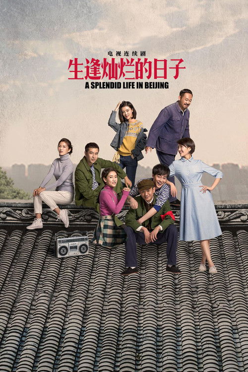 生逢灿烂的日子 封面