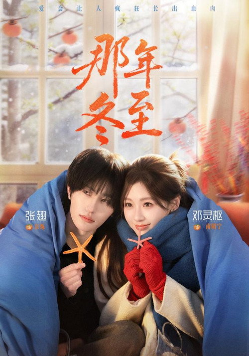 那年冬至 封面