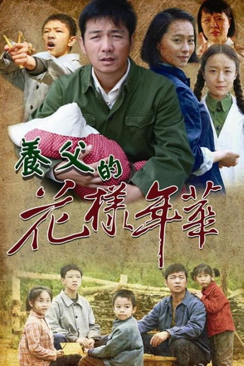 养父的花样年华 封面