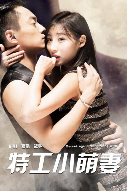 特工小萌妻 封面