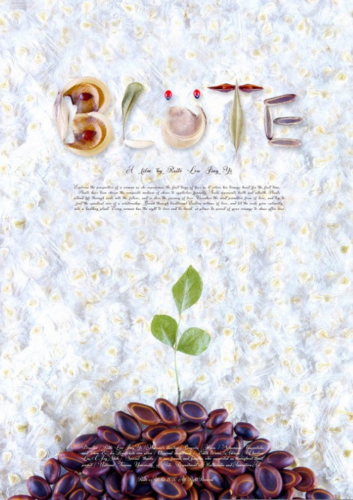 Blüte 封面
