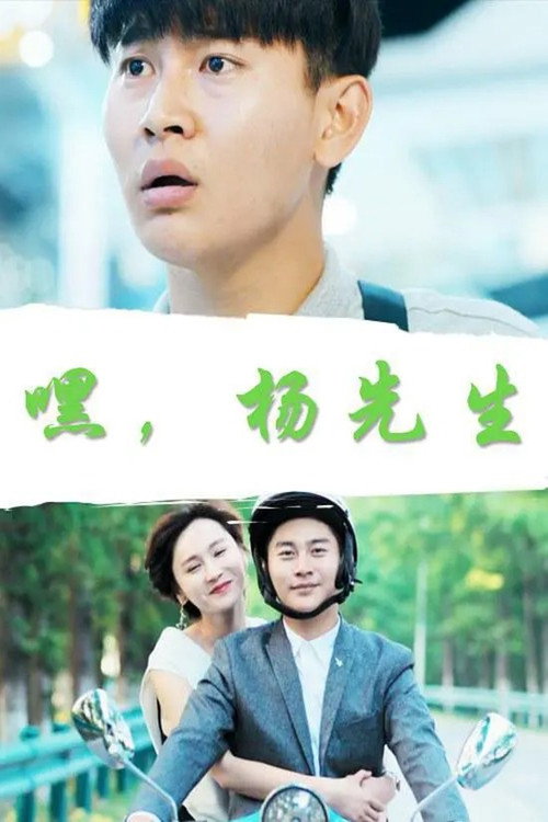 嘿，杨先生 封面