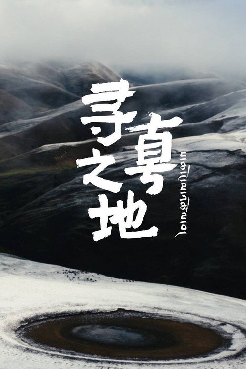 寻真之地 封面