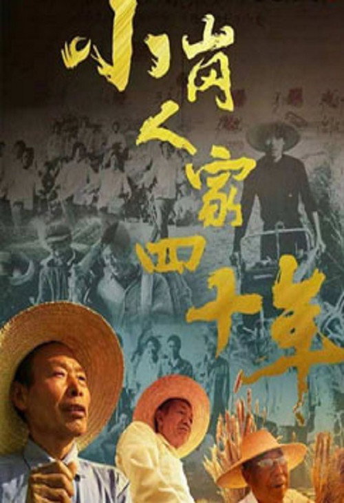小岗人家四十年 封面