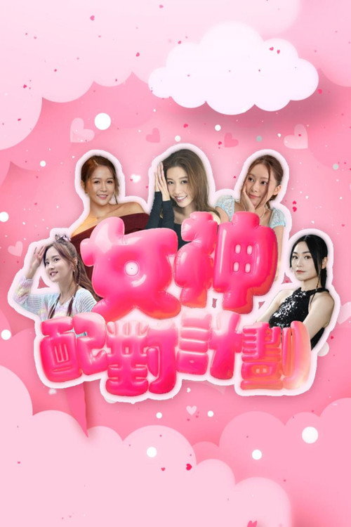 女神配对计划 封面