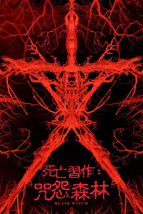 布莱尔女巫 封面