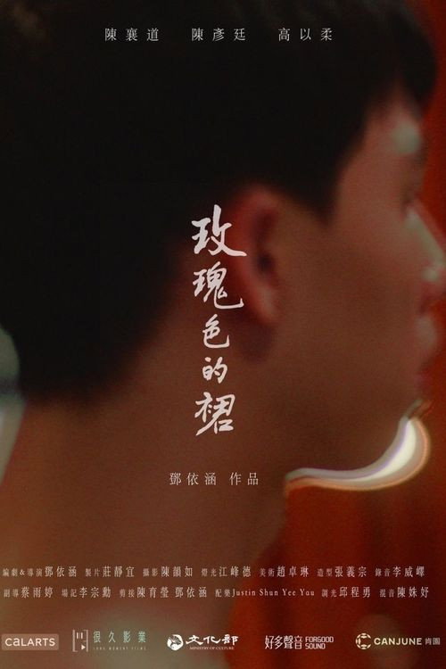 玫瑰色的裙 封面