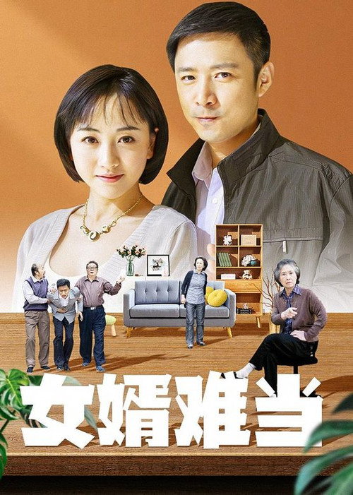 女婿难当 封面